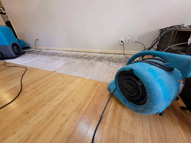 Professional Ceiling Water Damage Repair technician working in Gleason, TN